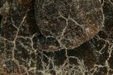 Septarian Dragon Egg Geode - Black Crystals #177389-1